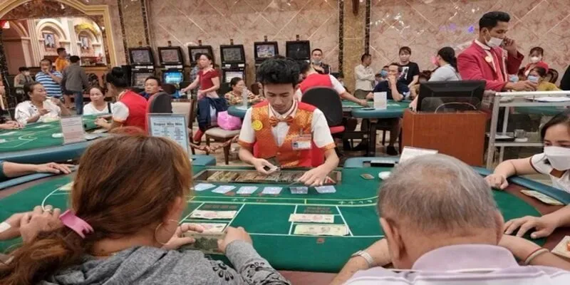 Mocbai đã có hàng loạt thay đổi đáng chú ý ngay đầu năm 2025
